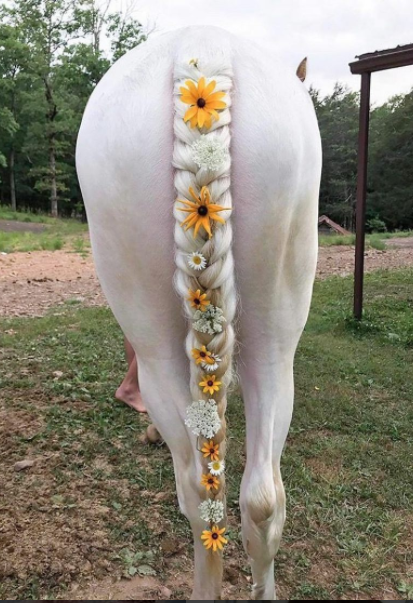 Flower Power 😊🦄🏵️🌻🌼